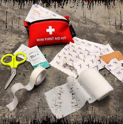 Lightning X Mini First Aid Kit – Compact 20 Piece Emergency Medical Kit with Carabiner | Portable Water Resistant Travel First Aid Pouch for Hiking, Camping, Car, Backpack, Outdoor Survival